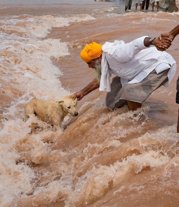പഞ്ചാബിൽ വെള്ളപ്പൊക്കം: നടപടികളും രക്ഷാ പ്രവർത്തനങ്ങളും